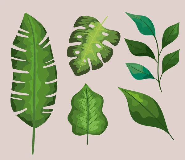 Set icona foglie — Vettoriale Stock