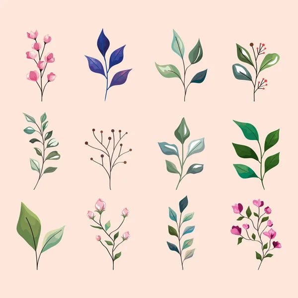 Blätter und Blumen Ikonensammlung — Stockvektor