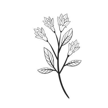 Yapraklı çiçekler