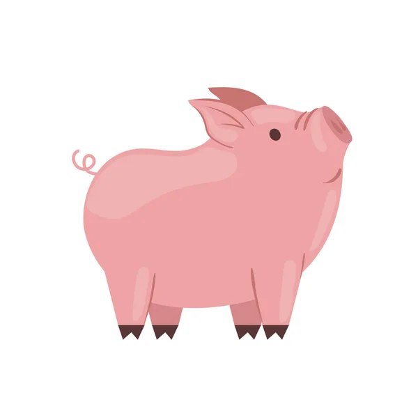 Söt gris tecknad film — Stock vektor