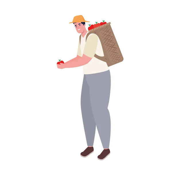 Farmer man with apples basket — Stok Vektör