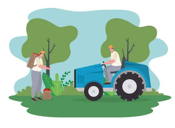 Farmers men with tractor — Vector de stock