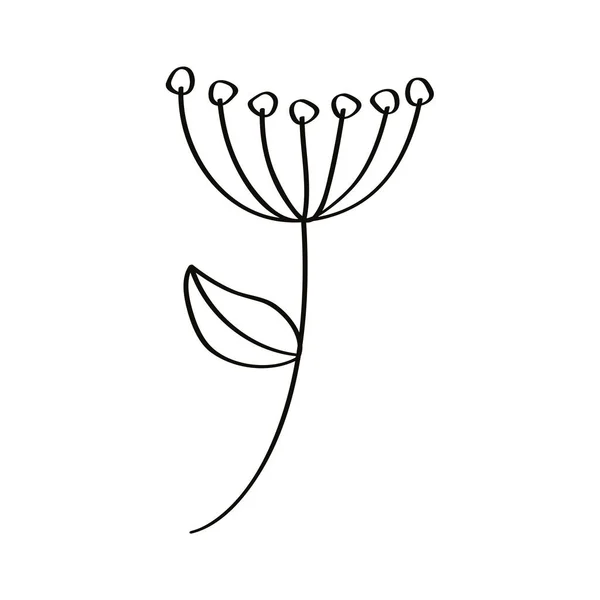 Sketch pistils flowers — Stock Vector