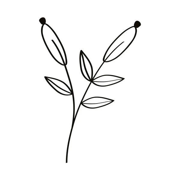Bosquejo hojas rama — Vector de stock