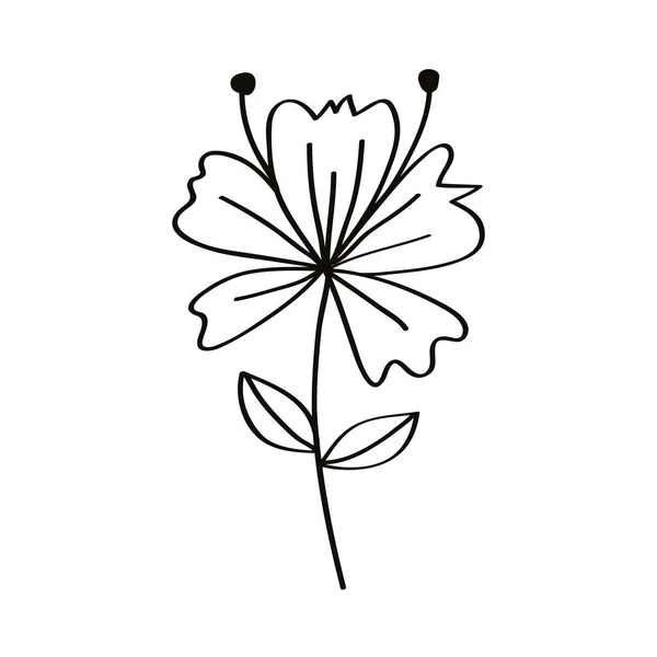 Bosquejo flor naturaleza — Archivo Imágenes Vectoriales