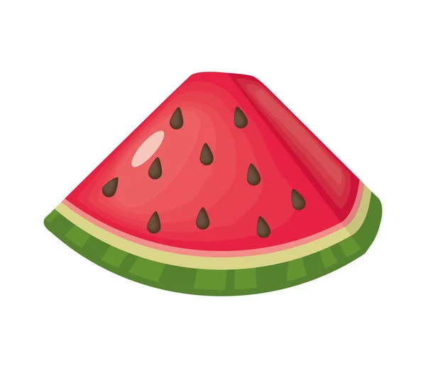 Isolated watermelon fruit — Stock Vector