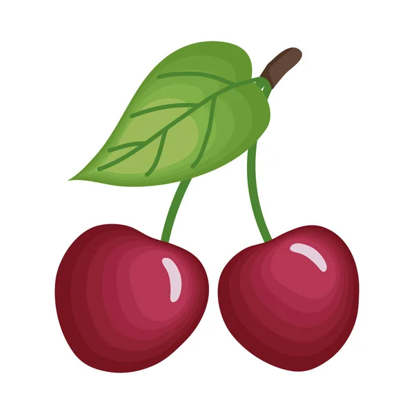 Cerises isolées fruits — Image vectorielle