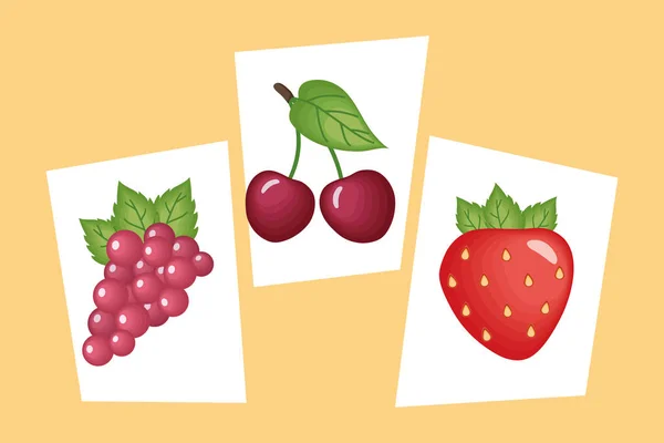 Insamling av fruktsymboler — Stock vektor