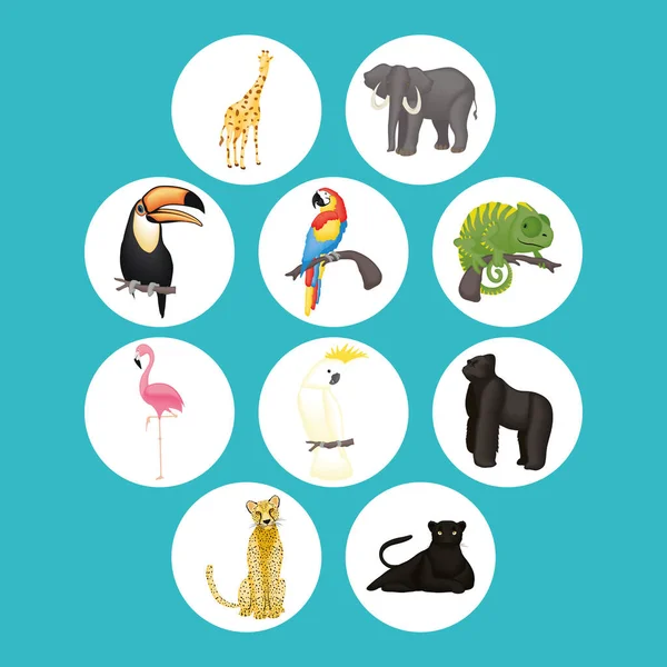 Koleksi ikon hewan yang lucu - Stok Vektor