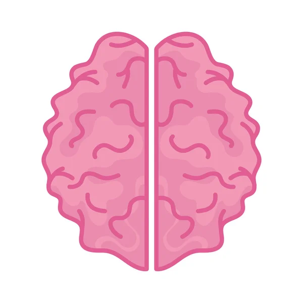 Icono del cerebro rosa — Vector de stock