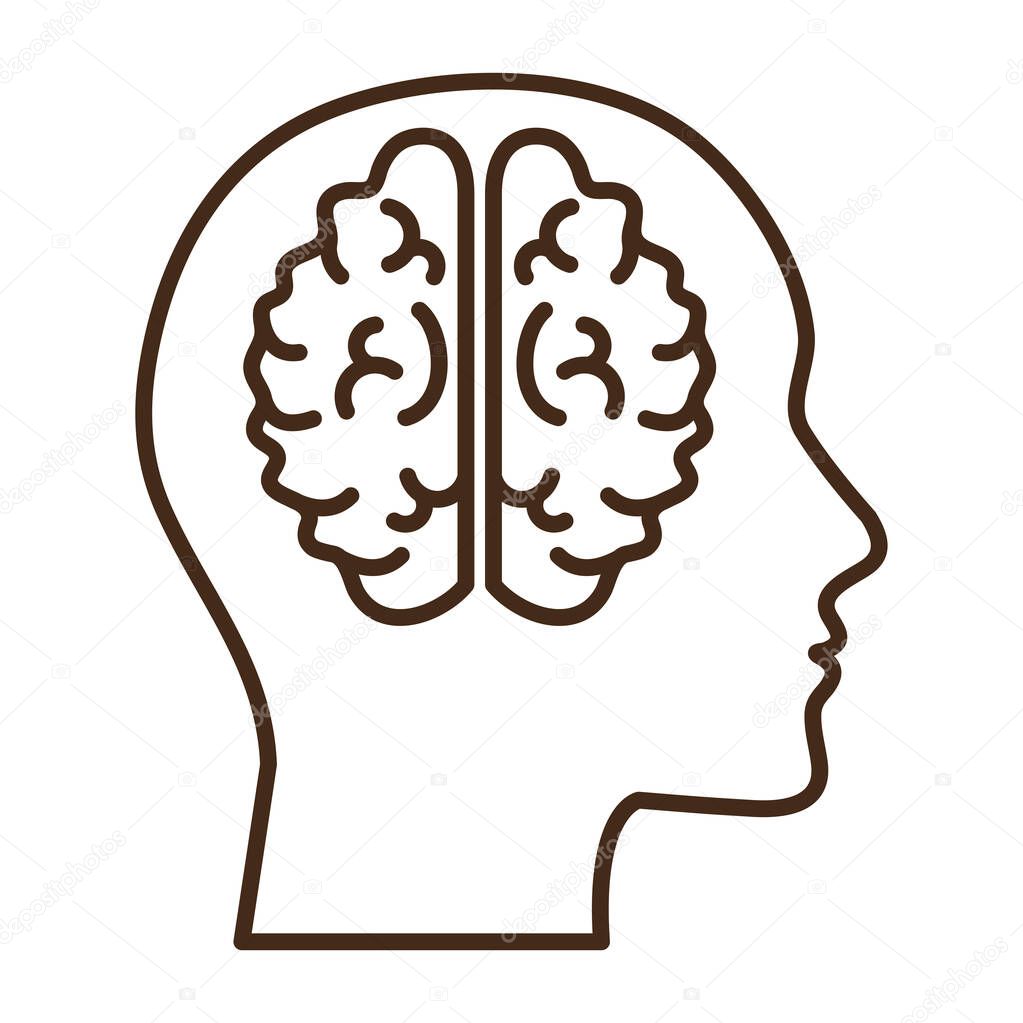 brain inside head
