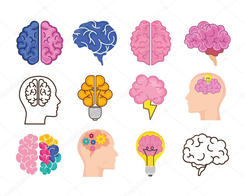 brains symbol collection
