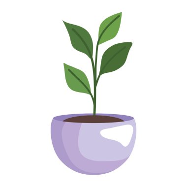 Tencerenin içine yerleştir