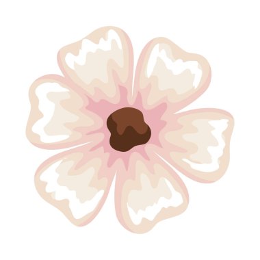 İzole edilmiş pembe çiçek