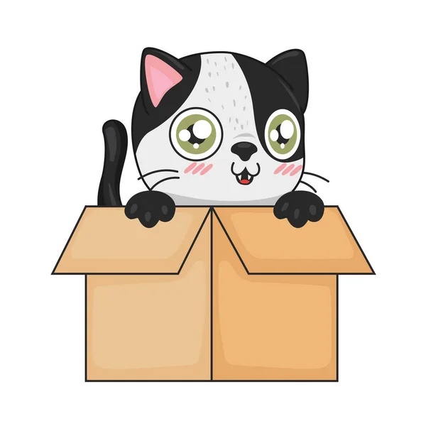 Gato dentro caja — Vector de stock