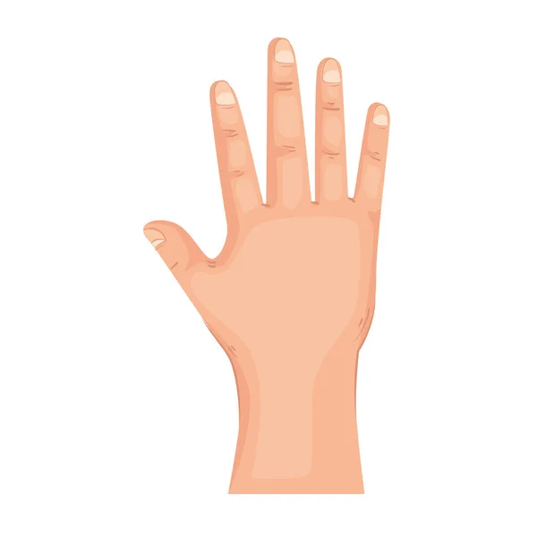 Людська рука спереду — стоковий вектор