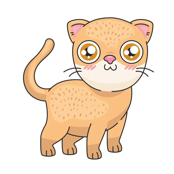 Karikatura oranžové kočky — Stockový vektor