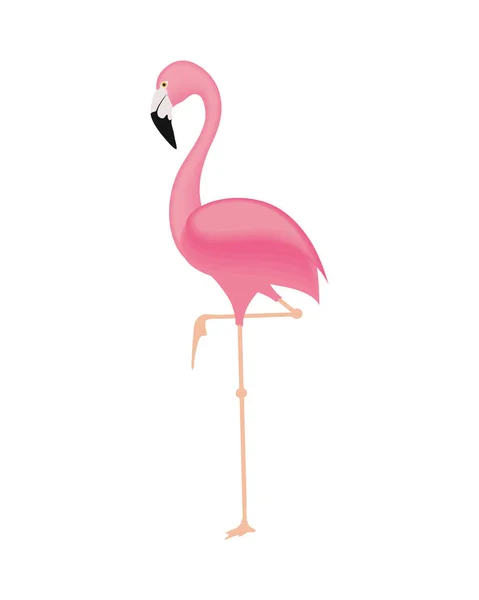 Aranyos flamingó rajzfilm — Stock Vector