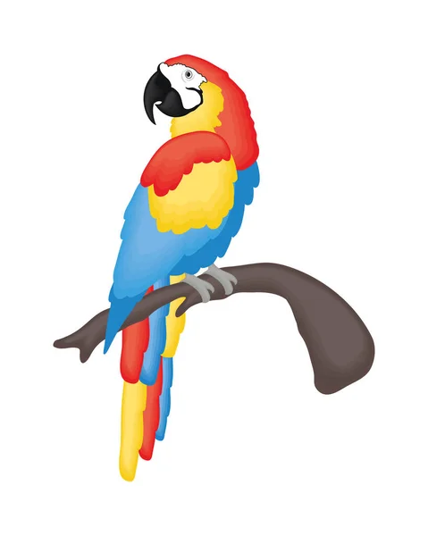 Lindo guacamayo dibujos animados — Archivo Imágenes Vectoriales