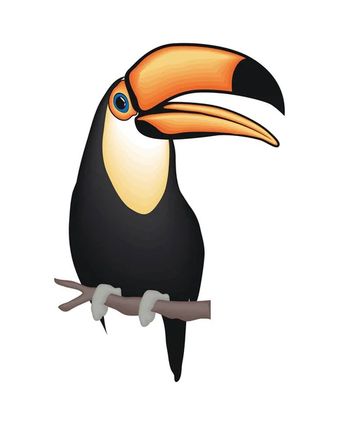Mignon toucan dessin animé — Image vectorielle