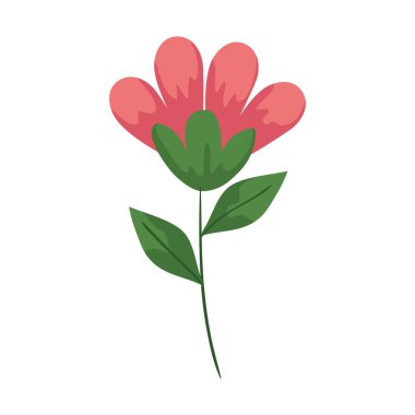 kırmızı çiçek bahçesi