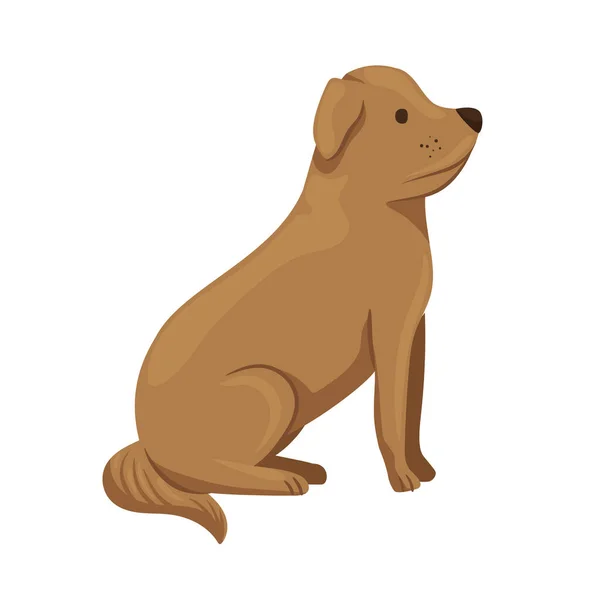 Dog mascot seated — Stok Vektör