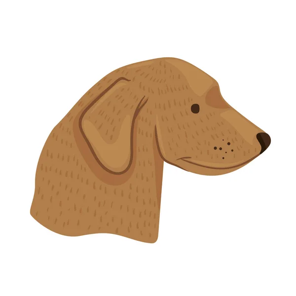 Perfil mascota perro — Vector de stock