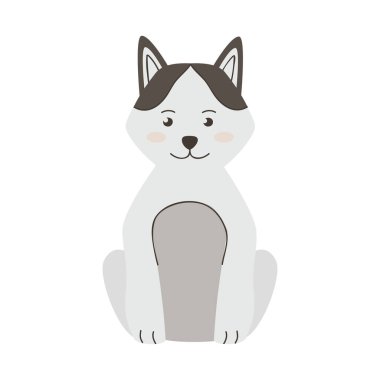 Sibirya kurt hayvanı