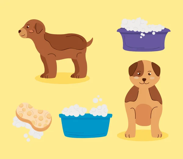Cinco iconos de mascotas de lavado — Archivo Imágenes Vectoriales