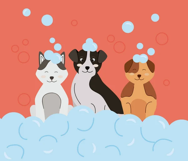 Lindo mascotas baño — Vector de stock