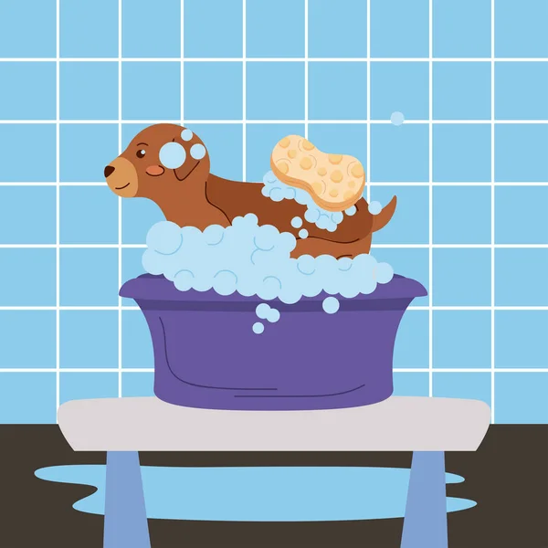 Pequeno animal de estimação banho — Vetor de Stock