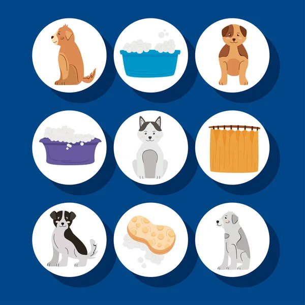 Nine washing pets icons — Stock Vector