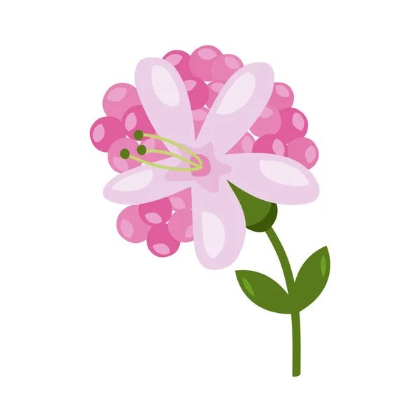 ピンクの花と葉 — ストックベクタ