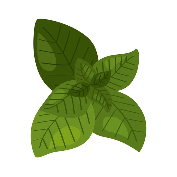 Feuilles écologie plante — Image vectorielle