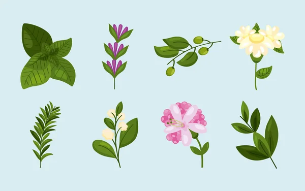 Acht Natur-Ikonen des Frühlings — Stockvektor