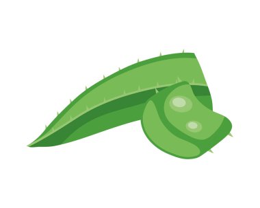 aloe yaprağı simgesi