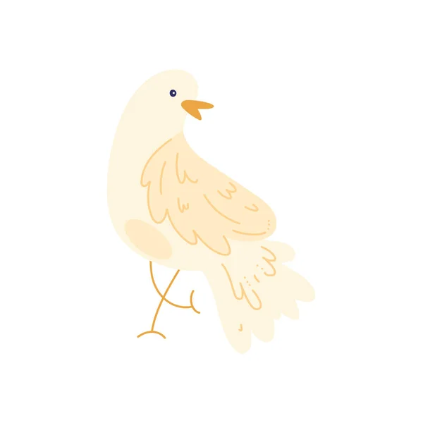 Pták holubičí bílý — Stockový vektor