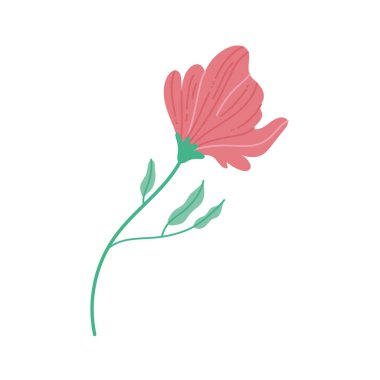 gül çiçeği simgesi