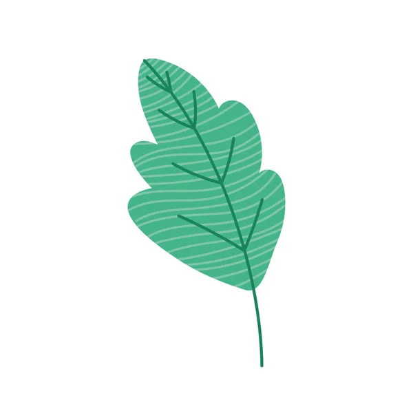 Leaf plant icon — Stock Vector