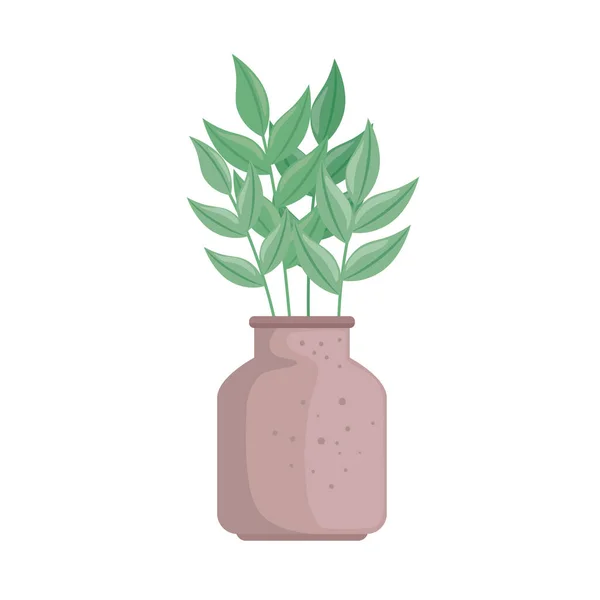 Комнатные растения в горшке — стоковый вектор