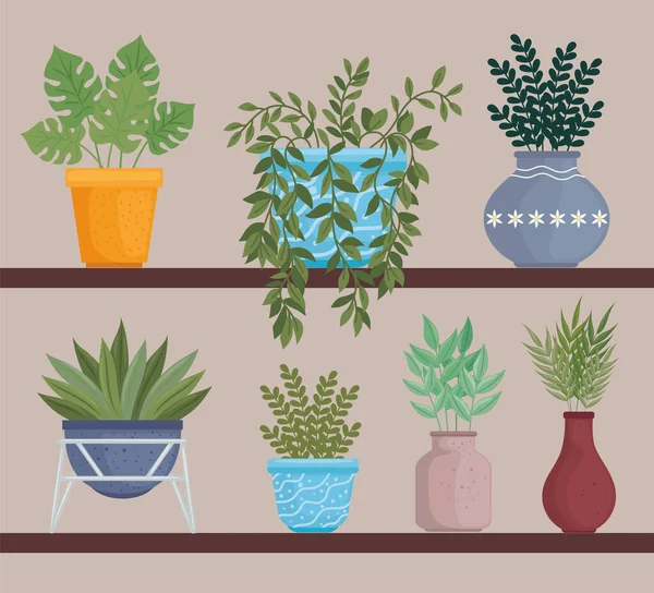 Φυτά εσωτερικού χώρου με γλάστρες — Διανυσματικό Αρχείο
