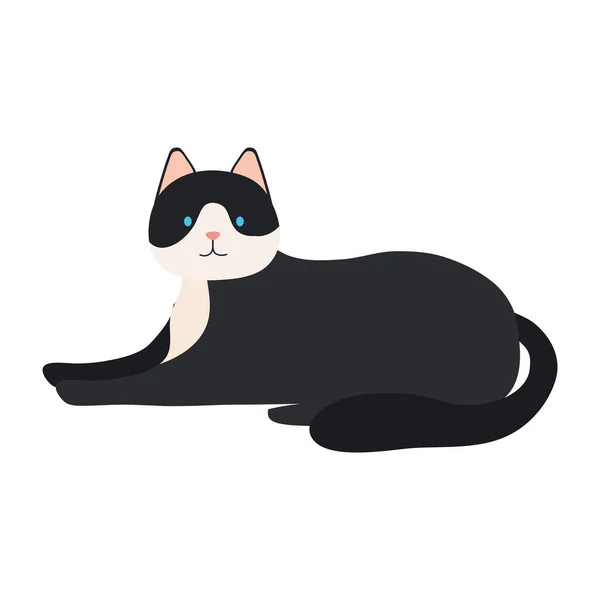 Kucing hitam lucu - Stok Vektor