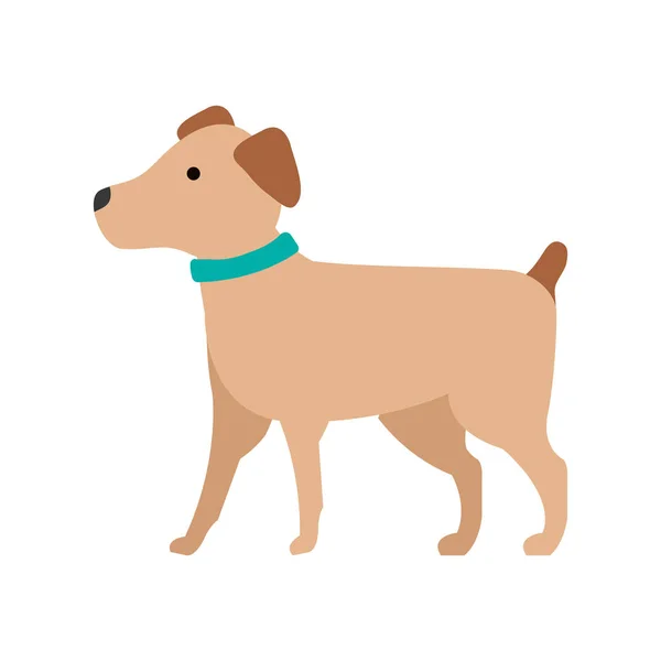 Schattig hond wandelen — Stockvector