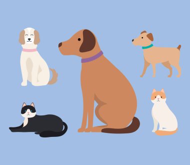 Beş maskotumuz var.