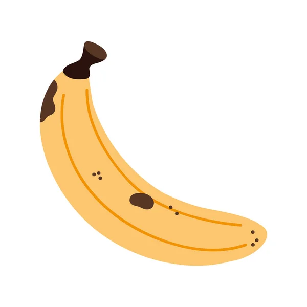 바나나 싱싱 한 과일 — 스톡 벡터