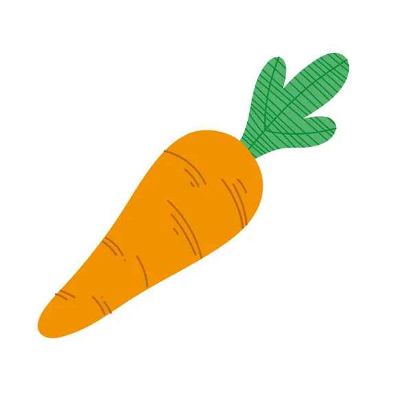Καρότο φρέσκο λαχανικό — Διανυσματικό Αρχείο
