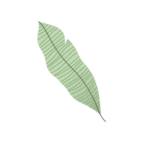 Ökologische Blattpflanze — Stockvektor