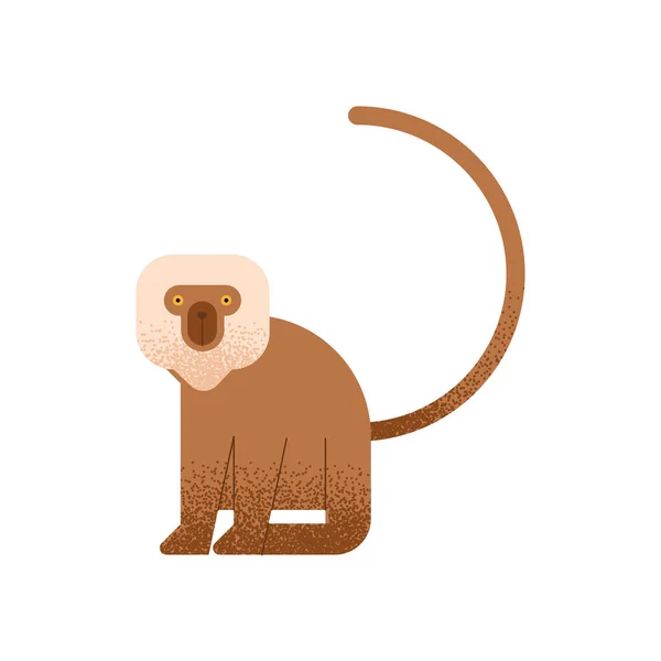 Animal de macaco —  Vetores de Stock