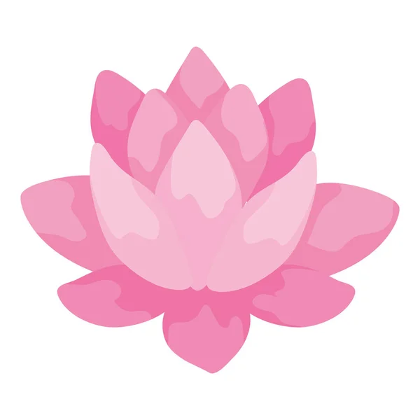 Krásný lotosový květ — Stockový vektor