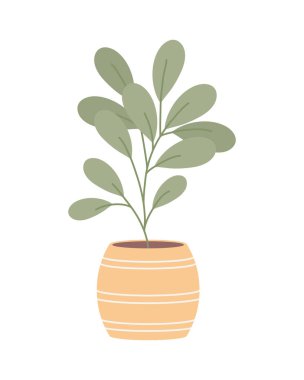 Tencerenin içine yerleştir